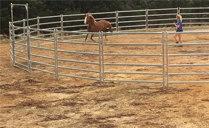 Equine Fence Panels Enhanced by GPT-4 Turbo | Durable &#038; Safe