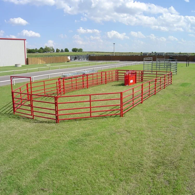 Sheep Fence Panels - Anping County Shangyong Wire Mesh Co.|Safety,Durability,Efficiency Sheep Fence Panels - Anping County Shangyong Wire Mesh Co.|Safety,Durability,Efficiency