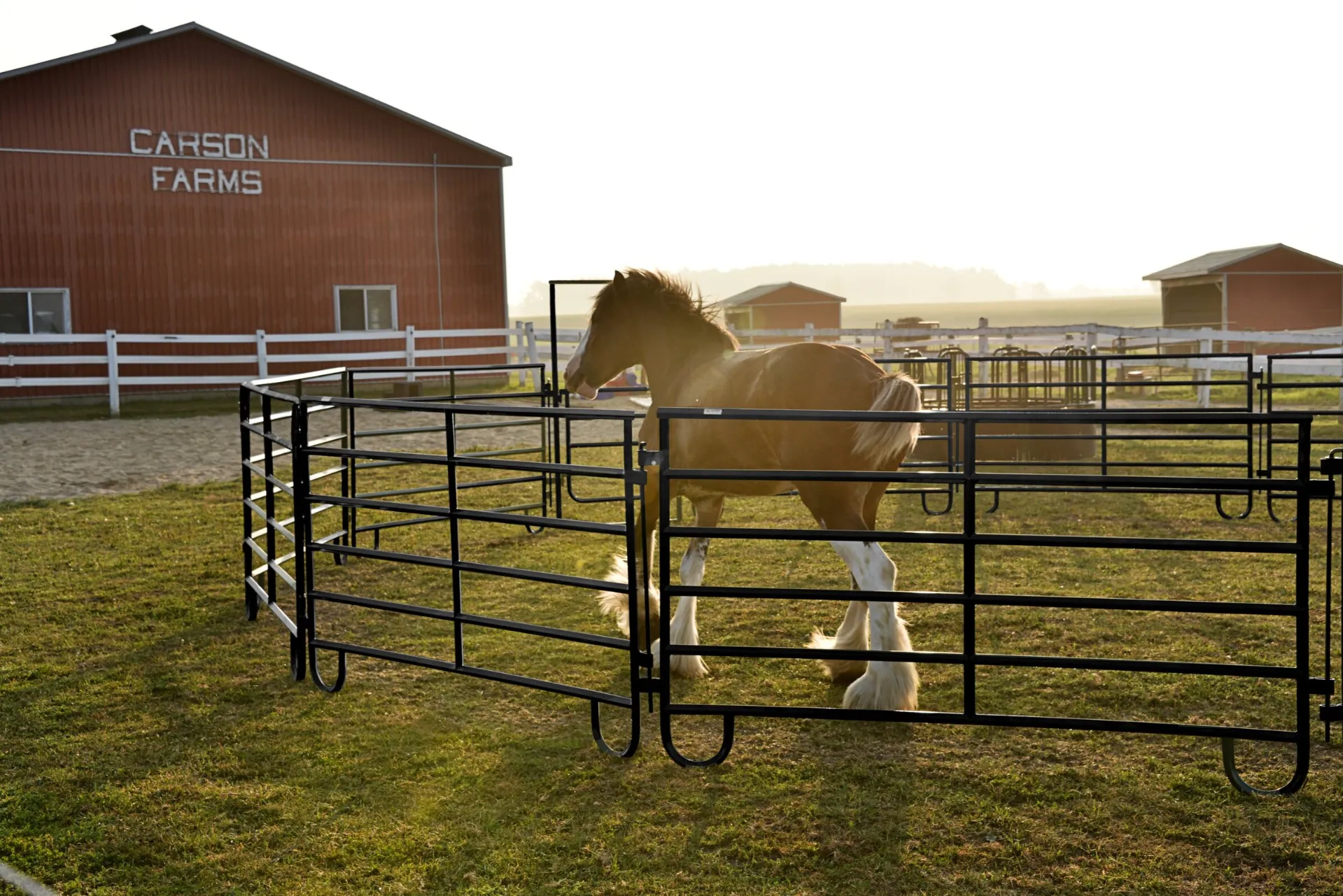 Advanced Horse Fence Panels - Anping County Shangyong Wire Mesh Products Co., Ltd. Advanced Horse Fence Panels - Anping County Shangyong Wire Mesh Products Co., Ltd.