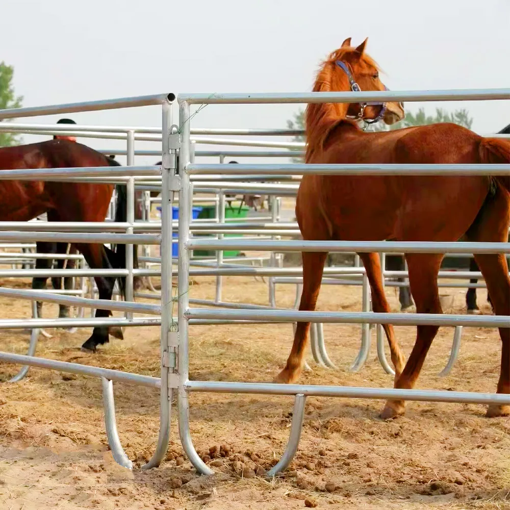 Advanced Horse Fence Panels - Anping County Shangyong Wire Mesh Products Co., Ltd. Advanced Horse Fence Panels - Anping County Shangyong Wire Mesh Products Co., Ltd.