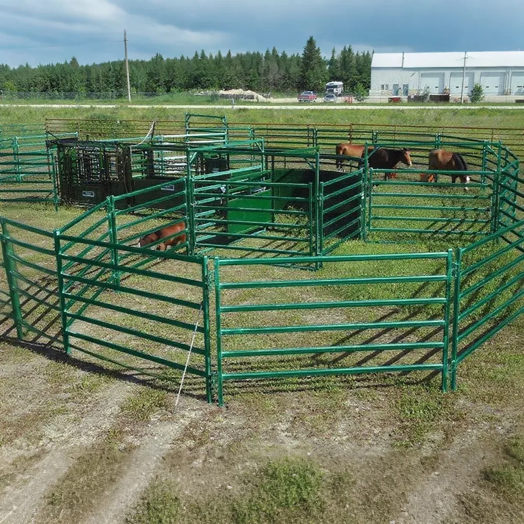 Equine Fence Panels Enhanced by GPT-4 Turbo | Durable &#038; Safe